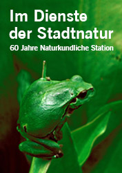 Laubfrosch