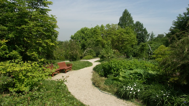 Rundgang durch den Botanischen Garten