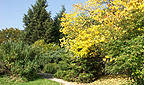 Arboretum
