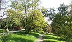 Arboretum