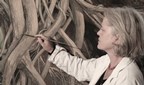 Ausstellung Elisabeth Wimmer-R&ouml;ck im Botanischen Garten Linz