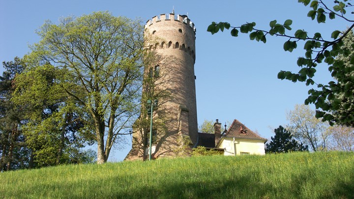 Park am Freinberg mit Franz-Josephs-Warte
