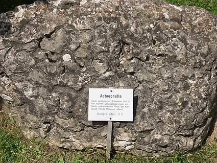 Gestein