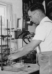 Hans Grohs beim Arbeiten im Labor