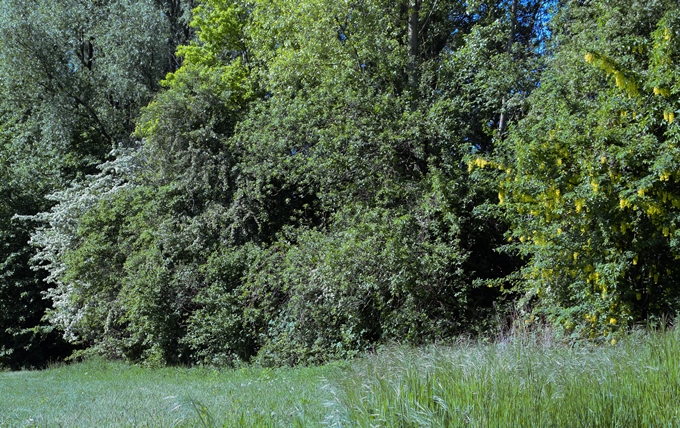 Hecke