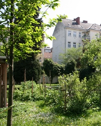 Blick in einen Garten mitten in der Stadt.