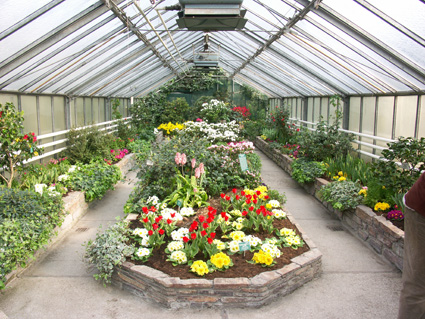  Fr&uuml;hlingsblumenschau im Kalthaus