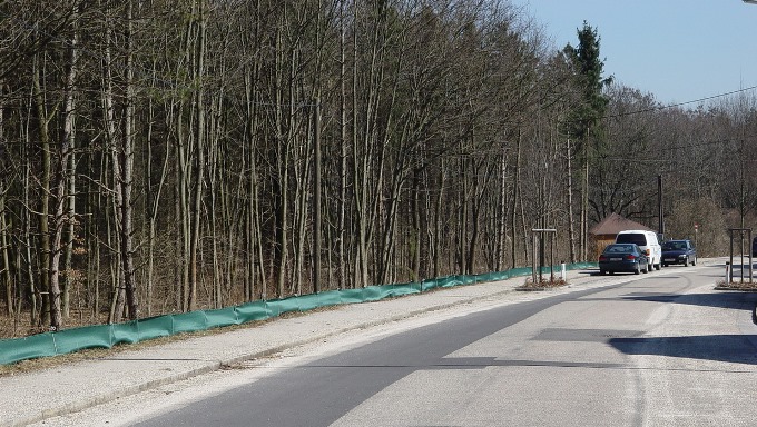 Krötenschutzzaun entlang der Straße 