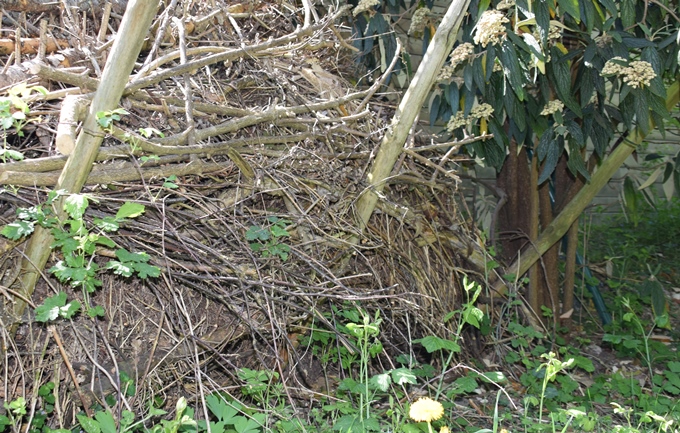 Laub-Reisig-Haufen im Garten