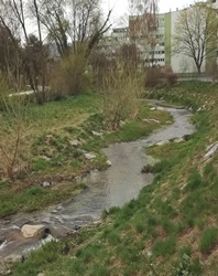 Renaturierter Haselbach Höhe Biesenfeldsiedlung