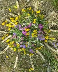 Mosaik aus Blumen und Gräsern gelegt.
