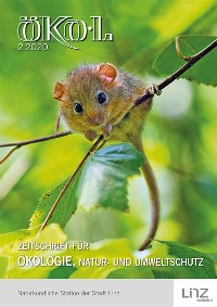 Haselmaus