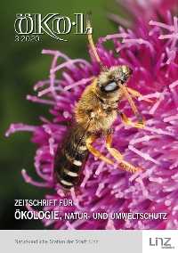 Sechsbinden-Furchenbiene auf rosa Blüte