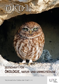 Steinkauz