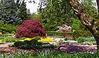 Titelbild: Senkgarten des Botanischen Garten