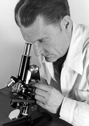 Professor Schild am Mikroskop