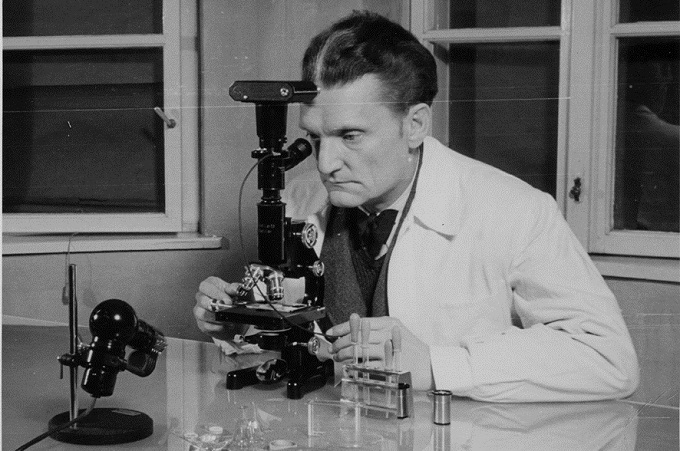 Professor Schild arbeitet am Mikroskop