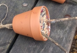 Vogelfutter im Tontopf angeboten