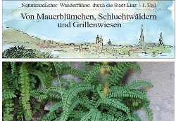 Wanderung Teil 1