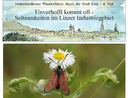 Wanderung Teil 4: Unverhofft kommt oft – Seltsamkeiten im Linzer Industriegebiet