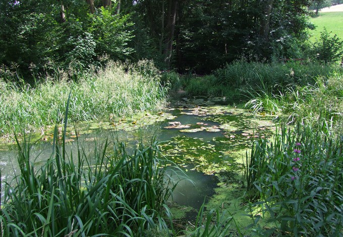 Gewässer