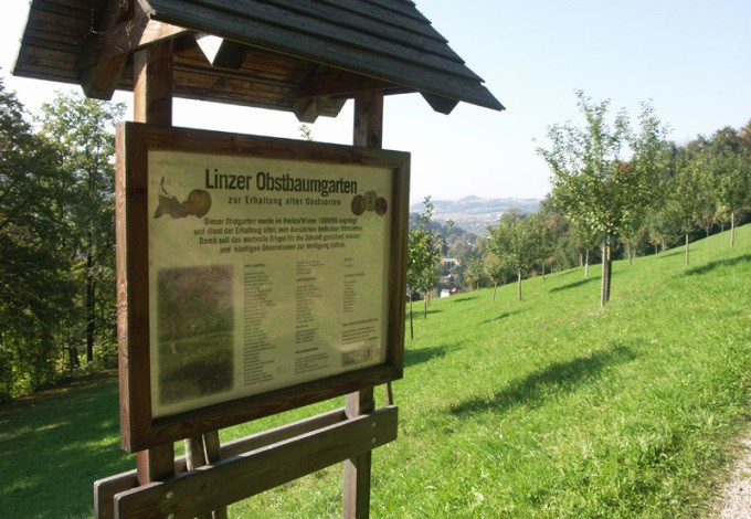 Foto: Archiv Naturkundliche Station Linz Obstgarten